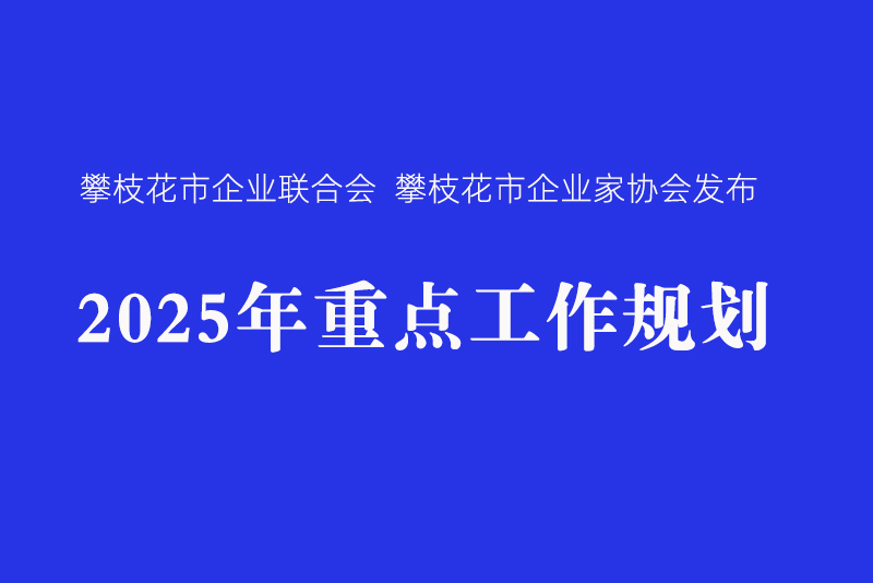 攀枝花市企業(yè)聯(lián)合會(huì)、攀枝花市企業(yè)家協(xié)會(huì)發(fā)布2025年重點(diǎn)工作規(guī)劃
